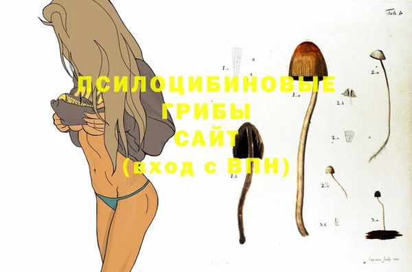 тгк Медвежьегорск