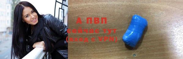 шишки Магас