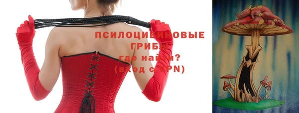 тгк Медвежьегорск