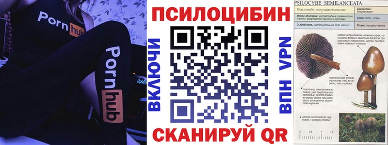 Псилоцибиновые грибы мицелий Мамадыш