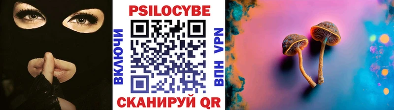 Псилоцибиновые грибы Psilocybine cubensis  Мамадыш 